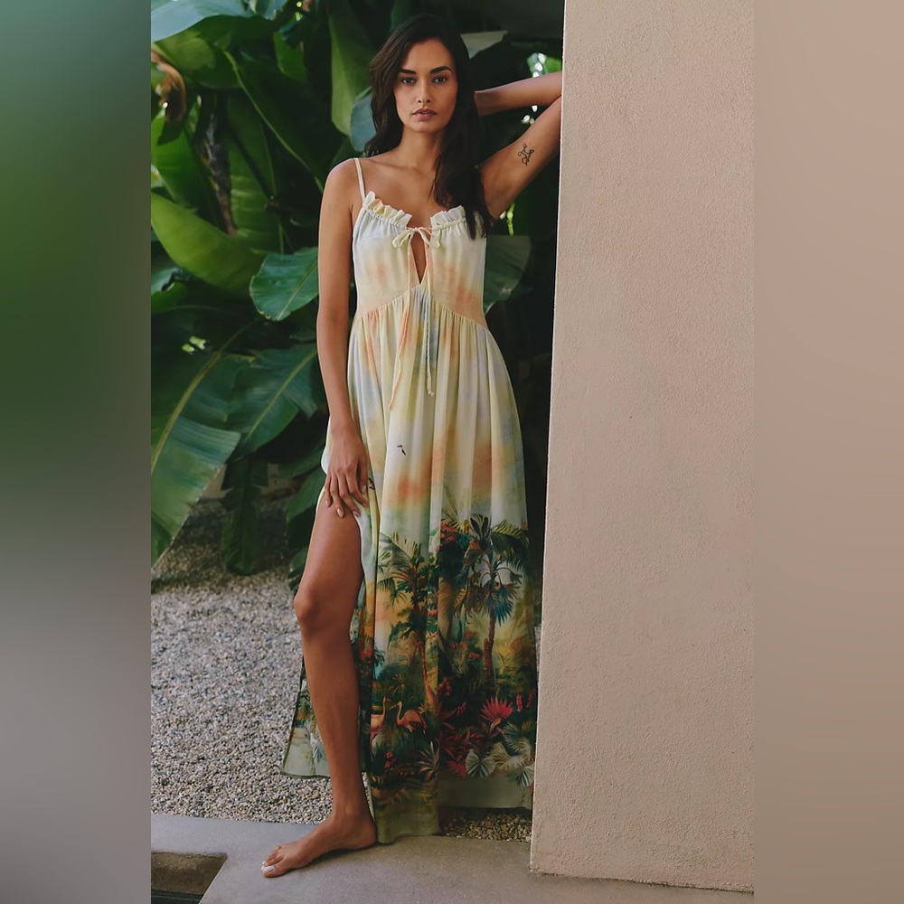 NWT! Anthropologie Celandine Sleeveless Scenic Maxi Dress - Size XS 🎆